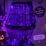 Maison décorée pour Halloween avec des citrouilles et des toiles d'araignée.